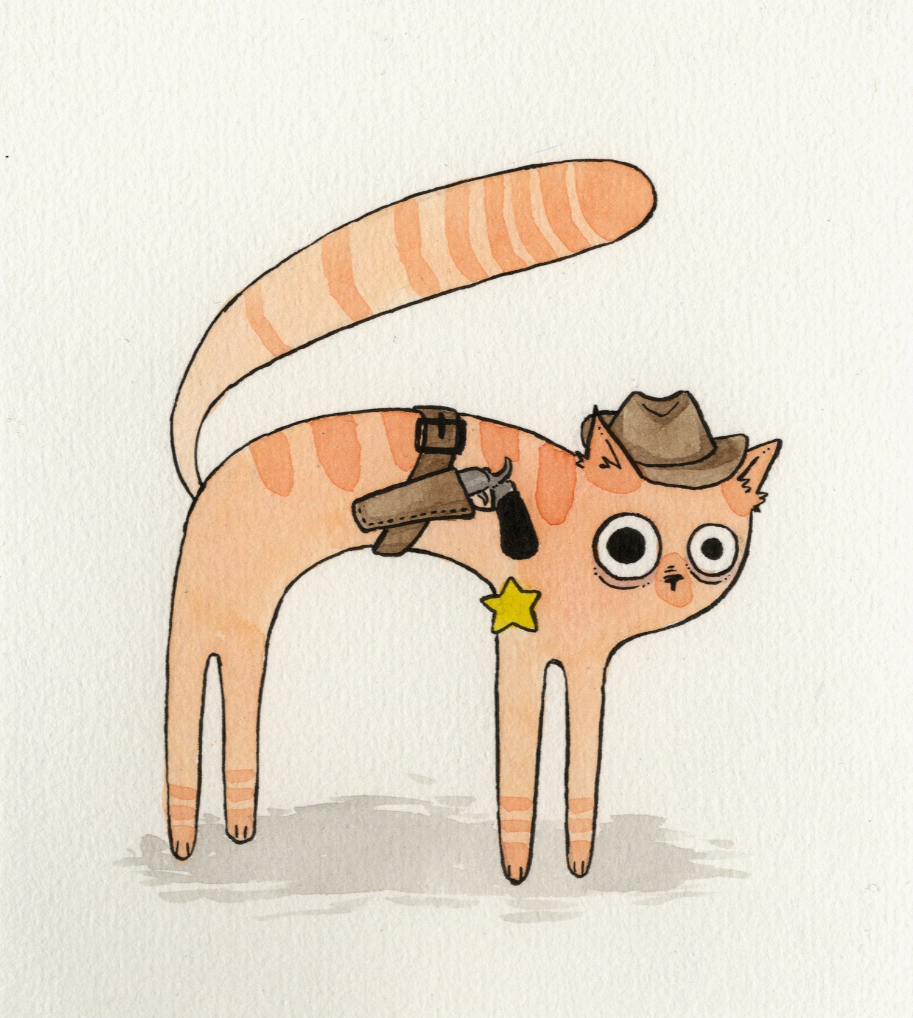 cowboy cat